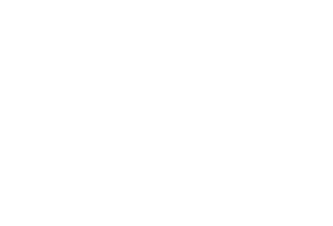 wit logo Flyct